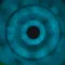 Synapsis