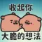 Baby Capybara Intense Love