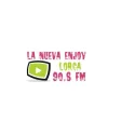 la nueva enjoy
