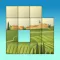 Slide the Tiles