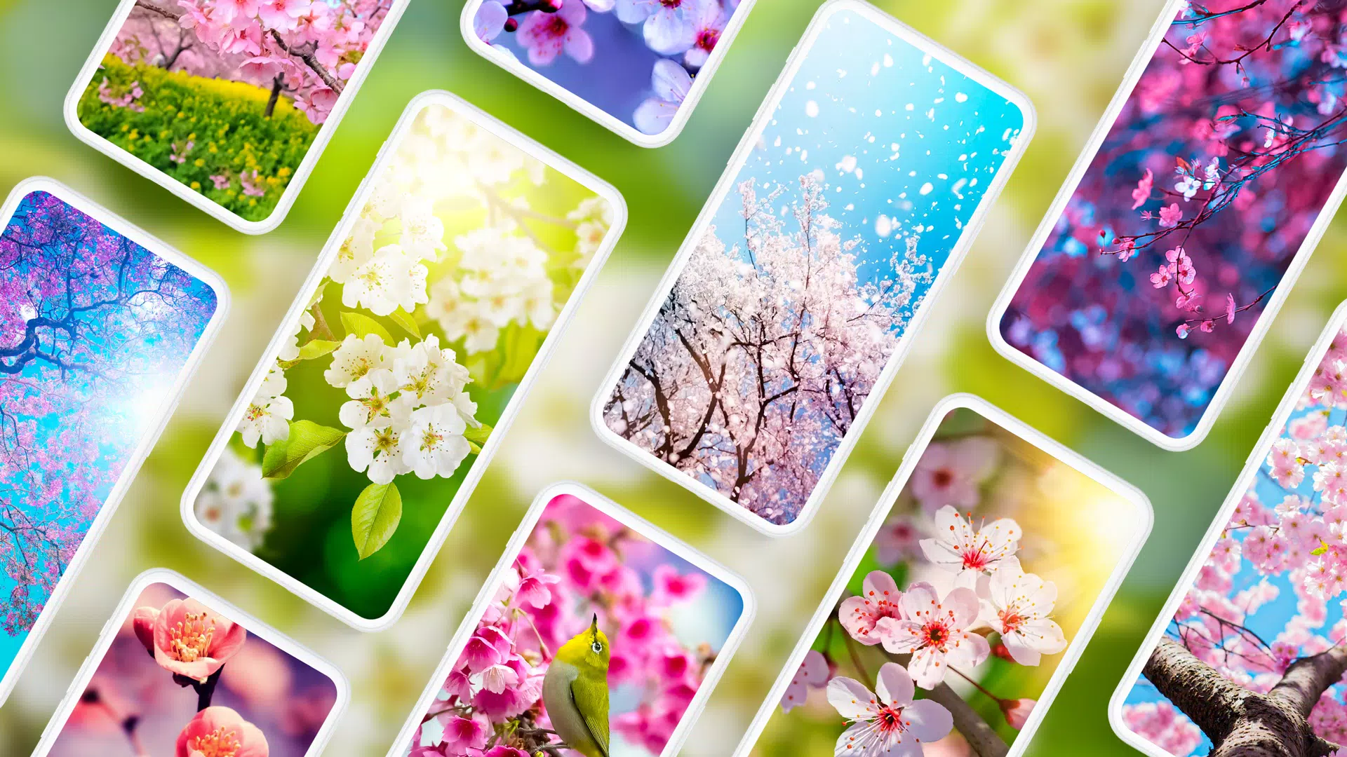 Spring Wallpapers 4K Screenshots