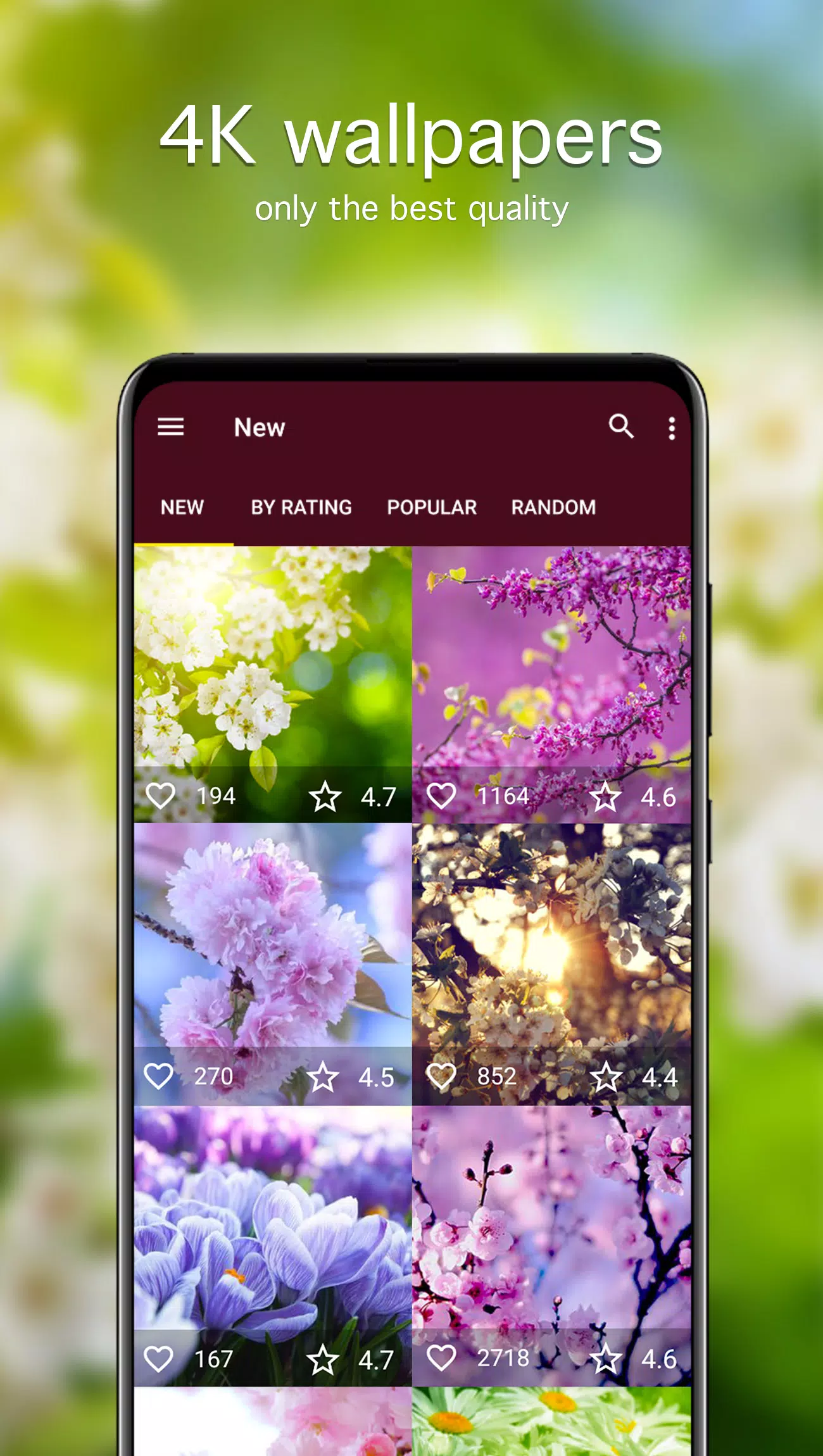 Spring Wallpapers 4K Screenshots