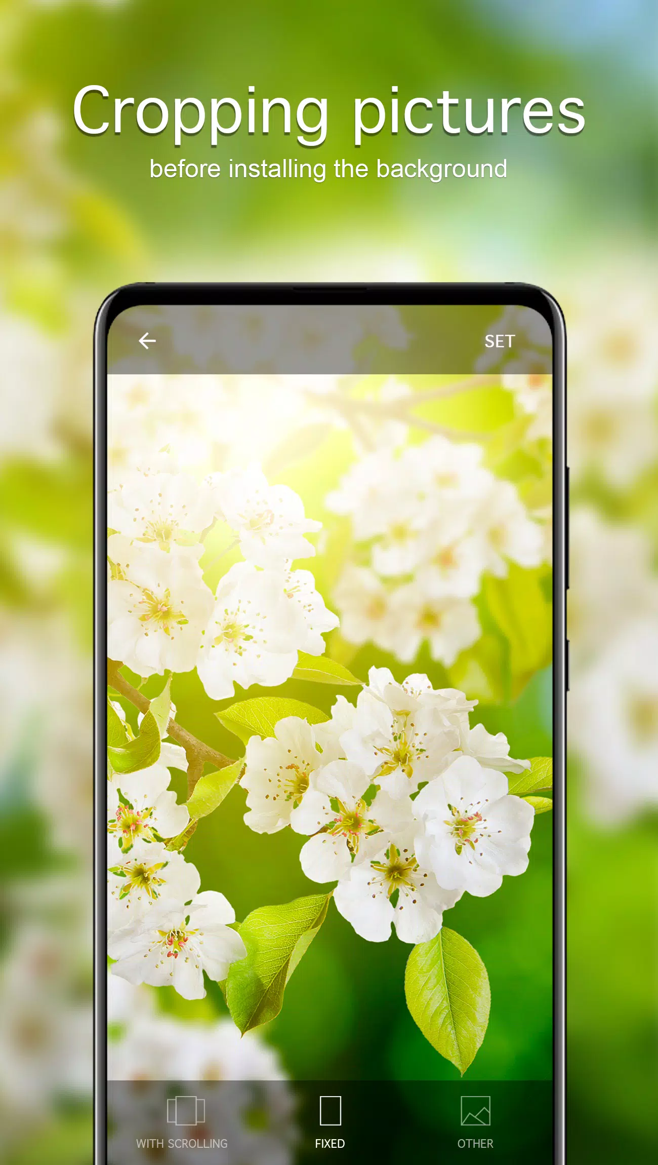 Spring Wallpapers 4K Screenshots