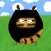 Amazing Ninja Cat