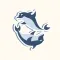 Dizzy Dolphins