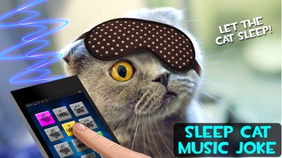 Capturas de pantalla de Sleep Cat Music Joke