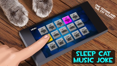 Capturas de pantalla de Sleep Cat Music Joke