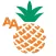 AA Oceanfront Vacation Guide