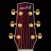 StringForce