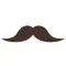 Mustaches and Beards