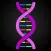 DNA - Pairing Game