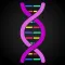 DNA - Pairing Game