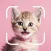 Cat Breed Identifier: Kitty ID