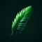 Paraphrase Tool - Reword