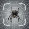 Arachnid Identifier: Spider ID