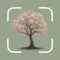 Botanica Identifier: Trees ID