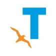 Tiempo Fueguino