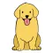 Sunny the Golden Stickers