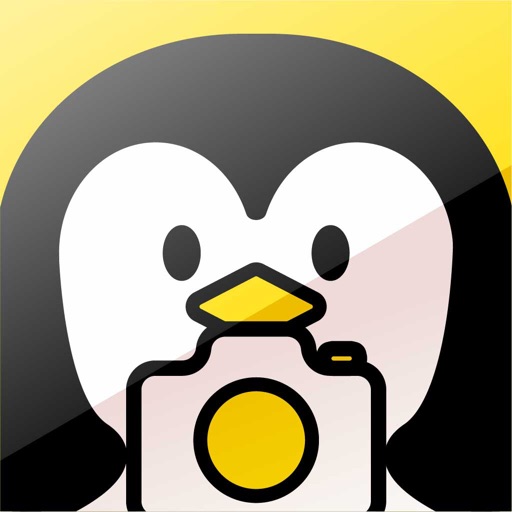 펭귄 카메라 (Penguin Camera) 펭귄 카메라 (Penguin Camera)