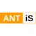 Y3T Antis