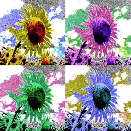 Art Serigraphy - Photo Editor