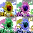 Art Serigraphy - Photo Editor