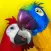 Talking Parrot Couple