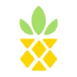 Ananas - shopping list