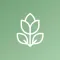Guide For Essential Oils +