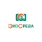 Эко среда