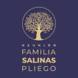 Reunión FSP