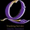 DLT QMark
