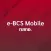e-BCS