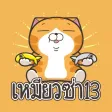 Lan Lan Cat 13 (Thailand) Lan Lan Cat 13 (Thailand)