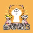 白爛貓13 - 超級嗨