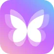 Dynamic Dash - Widgets, Themes