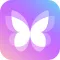 Dynamic Dash - Widgets, Themes