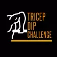 30 Day Tricep Dips Challenge