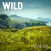 Wild Guide Wales