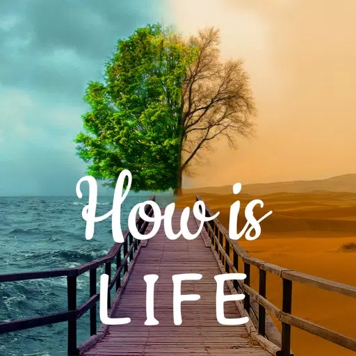 How is Life - Moods & Therapy How is Life - Moods & Therapy