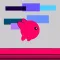 Bicolor Runner