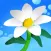 Make It Bloom
