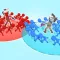 Crowd Idle - Time For War!