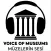 Voice Of Museums