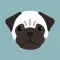 Pug Life HD - PawPapers