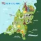 Beginner Dutch: Smart Choice