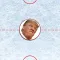 Trump Hockey