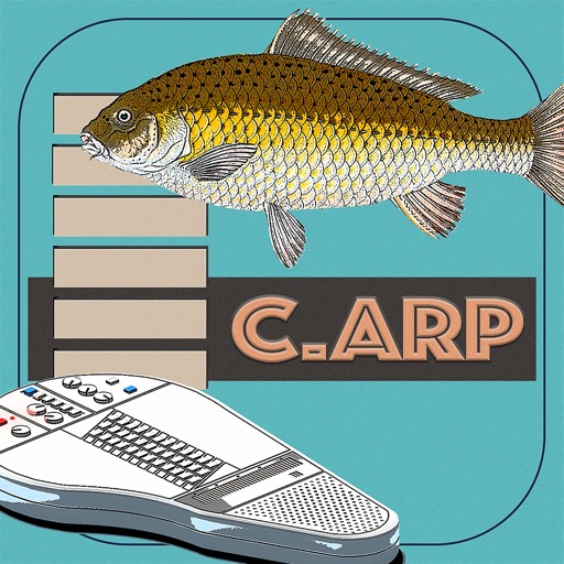 C.ARP C.ARP