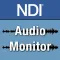 NDI Audio