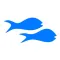 Snappers TV - Broadcasting